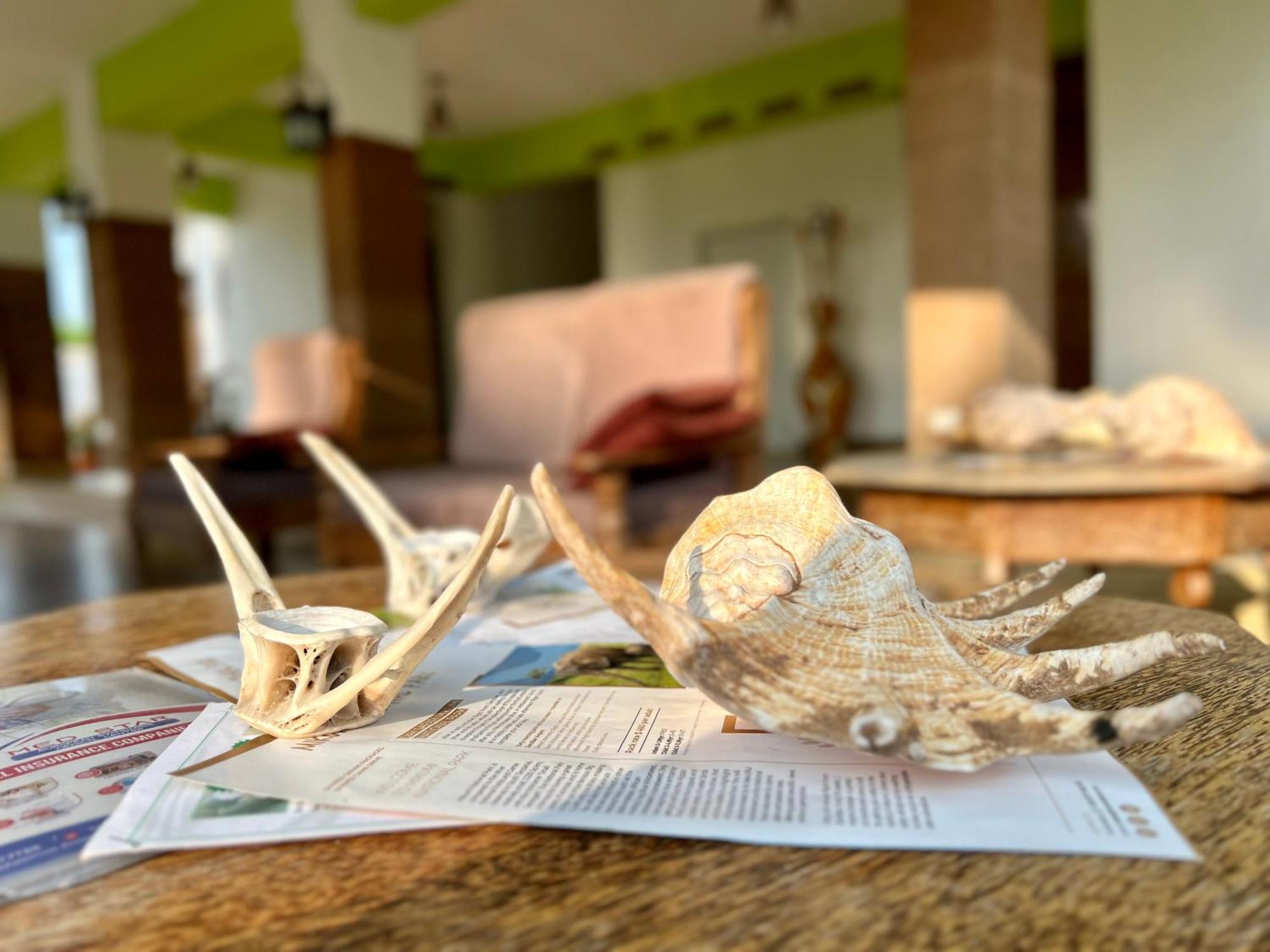 Zanoceanique Hotel Matemwe  Bagian luar foto